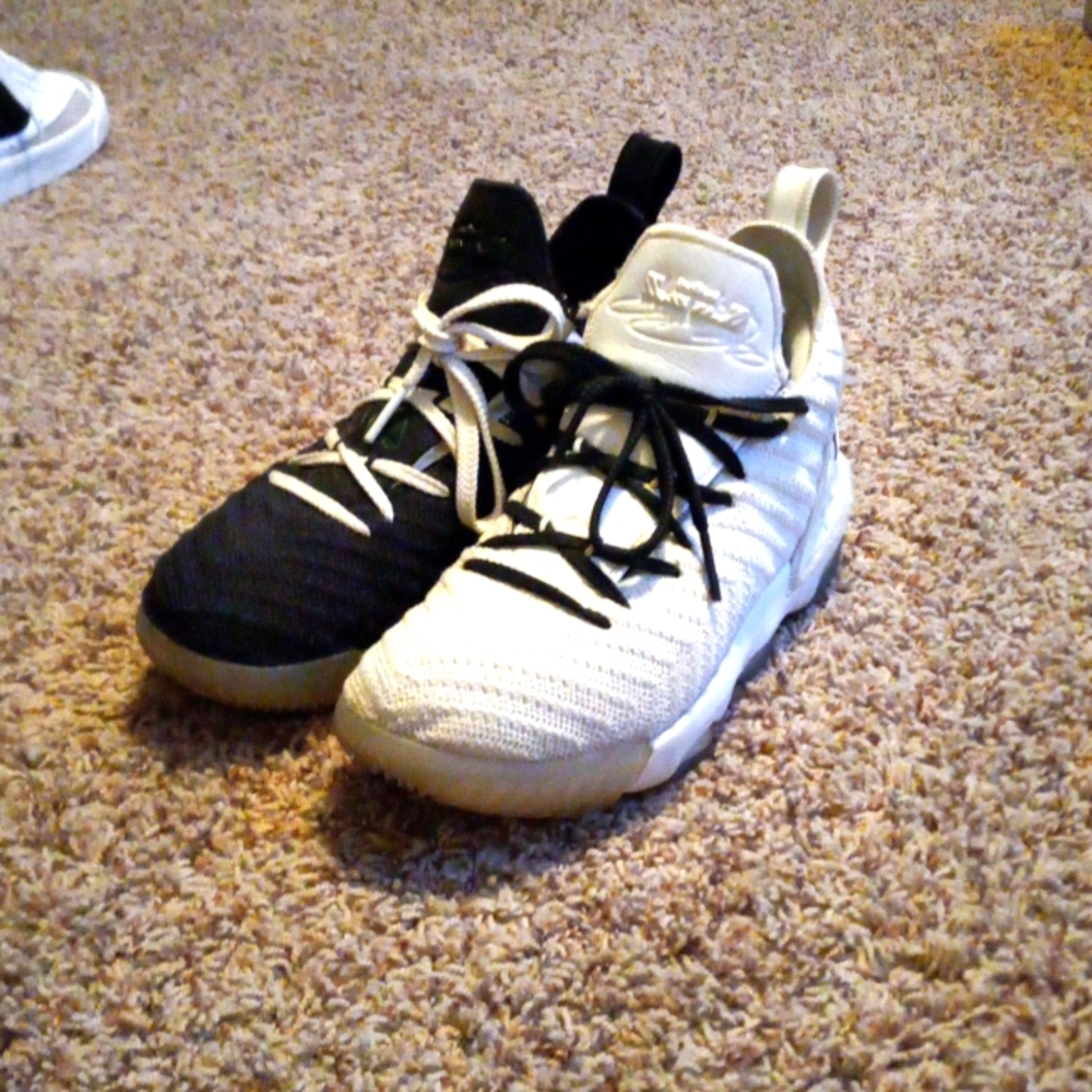 Lebron 16 'Equality'